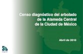 Censo diagnóstico del arbolado de la Alameda Central de la Ciudad de …centro.paot.org.mx/documentos/paot/estudios/Censo... · 2013. 5. 2. · ACCIONES DE MANEJO DEL ARBOLADO. De