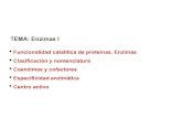 TEMA: Enzimas I - Academia Cartagena99 · 2018. 8. 15. · Enzimas • Clasificación y nomenclatura • Coenzimas y cofactores • Especificidad enzimática • Centro activo TEMA: