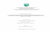 UNIVERSIDAD CATÓLICA ANDRÉS BELLO VICERRECTORADO …biblioteca2.ucab.edu.ve/anexos/biblioteca/marc/texto/AAR8297.pdf · Encuesta Mitigación de los Peligros (Contrato 3.1.104.001.03)