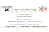 Centro de Investigación Interdisciplinar para el ... · Centro de Investigación Interdisciplinar para el Desarrollo Universitario (CIIDU) Plan de Trabajo “Desarrollo y consolidación"