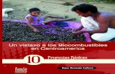 UN VISTAZO A LOS BIOCOMBUSTIBLESbiblioteca.ribei.org/1625/1/DIEZ-P.PDF.pdf · Actualmente los países centroamericanos se encuentran inmersos en procesos de definición de políticas,
