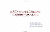 RIÑÓN Y ENFERMEDAD CARDIOVASCULARsecardiologia.es/images/stories/secciones/riesgo-vascular/reuniones… · Li YC. J Cell Biochem 2003; 88:327-31 Sugden JA Diabetes Med ;2008;25:320-52008