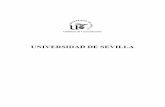 UNIVERSIDAD DE SEVILLAotri.us.es/otri/documentacion/prensa/18-19-diciembre.pdf · En 2009, la Universidad de Sevilla generó más del 40% del volumen de contratos con empresas de