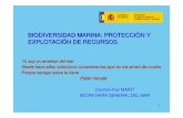 BIODIVERSIDAD MARINA: PROTECCIÓN Y EXPLOTACIÓN ......• Reglamento protección ecosistemas marinos vulnerables de alta mar (2008) 7 ESCENARIO NACIONAL • Protección del patrimonio