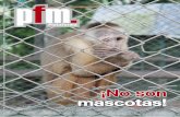 ¡No son mascotas! - Plataforma UPB...mascotas! Número 49 - octubre - diciembre de 2016 - Facultad de Comunicación Social - Periodismo - Universidad Pontiﬁ cia Bolivariana (UPB)