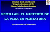 SEMILLAS: EL MISTERIO DE LA VIDA EN MINIATURA€¦ · SEMILLAS: EL MISTERIO DE LA VIDA EN MINIATURA Profa. Dra. QUEILA SOUZA GARCIA UPeU, Lima (Perú) – 19 a 21/04/2013 XIV Seminario