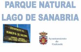 Parque Natural Lago de Sanabria; - Ayuntamiento de Galende · 2016. 3. 9. · Parque Natural Lago de Sanabria; Situado al Noroeste de la provincia de Zamora con una superficie protegida