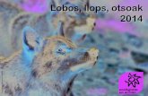 Lobos, llops, otsoak 2014 - Ecologistas en Acción · Lobos, llops, otsoak 2014 ecologistas José Antonio Maldonado Moreno en acción. El lobo ibérico (Canis lupus signatus) es uno