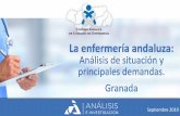 Presentación de PowerPoint · ANÁLISIS E INVESTIGACIÓN | 10 Base: Total enfermeros encuestados (3.005 casos) / Granada (315 casos) P.4 De los siguientes problemas o demandas profesionales