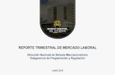 REPORTE TRIMESTRAL DE MERCADO LABORAL · La Encuesta Nacional de Empleo, Desempleo y Subempleo de junio de 2018 es una encuesta longitudinal/panel de vivienda con una cobertura geográfica