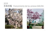日本の桜 Florecimiento de los cerezos...Title 日本の桜 Florecimiento de los cerezos Author kazuhiro fujimura Created Date 4/4/2019 11:22:53 AM