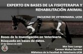 EXPERTO EN BASES DE LA FISIOTERAPIA Y REHABILITACIÓN …biblioteca.ucm.es/data/cont/docs/397-2015-02-27-fisioterapia_vet_20… · “fisioterapia veterinaria" filetype: para buscar
