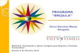 PROGRAMA “BRÚJULA”saludyfamilia.es/sites/default/files/PowerPoint ALICIA... · 2020. 2. 3. · Participación en los grupos de apoyo y orientación para madres adultas y para