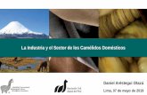 La Industria y el Sector de los Camélidos Domésticos · Análisis Integrado de la Cadena de Valor del Sector Textil Alpaca (2015) Composición de Exportaciones en Valor (201) -