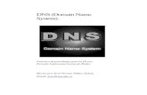 DNS (Domain Name System).beta.redes-linux.com/manuales/DNS/dns.pdfsu propio dominio, todo esto aparte de las nuevas proposiciones). Los dominios en Internet están divididos de dos