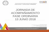 JORNADA DE ACOMPAÑAMIENTO FASE ORDINARIA 13 JUNIO … JUNIO.pdf · 2018. 6. 20. · que la Profra- 'War-gar-ita Rodríguez Hernández, asistió a la Jot-nada de Acornpañarniento