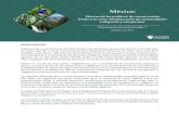 México - crisisclimaticayautonomia.org...encuentran superpuestas a la propiedad social de ejidos y comunidades agrarias, y abarcan 11.3 millones de hectáreas (44.4 por ciento de