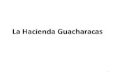 La Hacienda Guacharacas - Arcoiris · 2012. 4. 13. · CARACOL RADIO, 1º de marzo de 2010 ... Escrituras de la venta de la Hacienda La Manada 9. Escrituras de la venta de la Hacienda