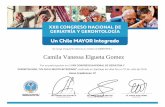 Camila Vanessa Elgueta Gomezcompuerta.cl/geriatriacongreso2018/certificados/asistentes/131.pdf · Camila Vanessa Elgueta Gomez. GERONTOLOGIA, ' Y GERO 994 CONGRESO NACIONAL DE GERIATRíA