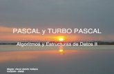 PASCAL y TURBO PASCAL - Facultad de Ciencias Exactas y ... · Definición de tipos Tipos reales En el contexto de Pascal, un número real es aquel que está compuesto de una parte