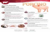 Producción de cerdo Engorda Sacrificio - Campo NLcampo.nl.gob.mx/pdf/pecuarias/porcino_monograf_a.pdf · El sacri˜cio de los porcinos se realiza en rastros TIF, privado y municipales.
