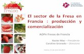 El#sector#de#la#Fresa#en# Francia# :# producción# y# …congresofrutosrojos.com/wp-content/uploads/2017/07/... · 2017. 7. 6. · El#sector#de#la#Fresa#en# Francia# :# producción#