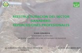 REESTRUCTURACION DEL SECTOR GANADERO. … Juan Grandía Tauste.pdf · sanidad) y la incompatibilidad con el ejercicio libre. • Reestructuración del sector ganadero: Aparece la
