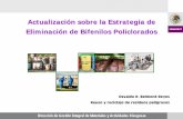 Actualización sobre la Estrategia de Eliminación de ... · Norma Oficial Mexicana NOM-133-SEMARNAT-2000 Protección ambiental-Bifenilos policlorados (BPC's)-Especificaciones de