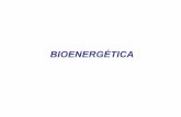 Clase N°1 Bioenergética Bioq Tec 2012.ppt [Modo de ...€¦ · La Bioenergética, es el análisis cuantitativo de la forma en que los organismos adidquieren y utilizan la energía.