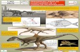 Presentación de PowerPoint - UAM · 2018. 5. 4. · dinosaurios terópodos y saurópodos: tafonomía, filogenia , análisis morfofuncional . Title: Presentación de PowerPoint Author: