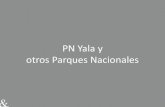 PN Yala y otros Parques Nacionales · 2019. 5. 21. · Wilpattu Parques Nacionales. Parque Nacional de Yala. Yala Parque Nacionals de Yala. Yala ... A mitad del safari de Yala, haga
