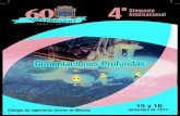 ºSimposio Internacional - Sociedad Mexicana de ......el agrado de invitarlo(a) a su 4to Simposio Internacional de Cimentaciones Profundas, un espacio creado para promover el desarrollo