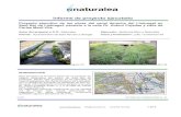 Informe de proyecto ejecutado - Naturalea...Informe de proyecto ejecutado Proyecto ejecutivo de las obras del canal derecho del Llobregat en Sant Boi de Llobregat, paralelo a la calle