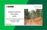 MANEJO FORESTAL SOSTENIBLE (MFS) - cdn. For… · Manejo Forestal Sostenible Plan General de Manejo Forestal (PGMF) Planificación estratégica y proyección empresarial a largo plazo.