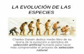 LA EVOLUCIÓN DE LAS ESPECIES · LA EVOLUCIÓN DE LAS ESPECIES Charles Darwin dedicó medio libro de su ... más comprensible el proceso de selección natural * * El dibujo de la