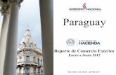 Paraguay - economia.gov.py€¦ · En el 1er. semestre del año las exportaciones se contrajeron en 21% respecto al mismo periodo del año anterior. Las exportaciones se vieron frenadas