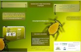 Campaña contra el Pulgón Amarillo del Sorgo en Guanajuato · 2018. 2. 12. · La plataforma de educación—extensión para el manejo integrado del Pulgón Amarillo del Sorgo en