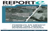 POBREZA EN MÉXICO DESDE UNA VISIÓN INTERDISCIPLINARIA · pobreza en México” pasa por los antecedentes de la seguridad social en México, remitiéndonos a la propia historia socioeconómica