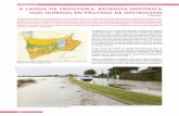 A LAGOA DA FROUXEIRA: RECESIÓN HISTÓRICA DUN HUMIDAL …adega.gal/web/media/documentos/frouxeira.pdf · cerna nº 76 ·2016 ·14 As lagoas litorais son un ecosistema complexo emprazado