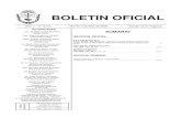 BOLETIN OFICIAL - Chubut 03, 2009.pdf · PAGINA 4 BOLETIN OFICIAL Viernes 3 de Abril de 2009 go deberá aprobar la evaluación de idoneidad, que determinará la Autoridad de Aplicación