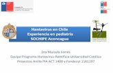 Hantavirus en Chile Experiencia en pediatría SOCHIPE Aconcaguaaconcagua.sochipe.cl/subidos/catalogo3/Hanta virus.pdf · SOCHIPE Aconcagua Dra Marcela Ferrés ... entrenado es de