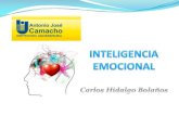 ¿Qué es la inteligencia?...¿Qué es IE? “La definimos como la capacidad para reconocer nuestros sentimientos y los sentimientos de los demás, así como el conocimiento para manejarlos“.
