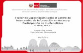 I Taller de Capacitación sobre el Centro de Intercambio ...genesperu.minam.gob.pe/wp-content/uploads/2017/03/5-FORMATO… · TIPOS DE FORMATOS Registro Nacional #ABSCH-MSR Medidas