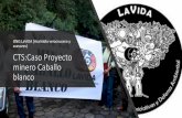 CTS:Caso Proyecto minero Caballo blanco - UNAMdepa.fquim.unam.mx/amyd/archivero/ONGLaVida_36145.pdf · 2019. 10. 3. · •El 2 de mayo de 2011 Gold Group anunció que contaba con
