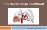 Probabilidad Clínica de Embolia Pulmonar Criterios de Wells...La mayoría de trombos de TEP se forman en las venas poplíteas, femoral profunda o iliacas. La obstrucción anatómica