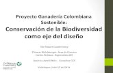 ProyectoGanaderíaColombiana( Sostenible ...elti.fesprojects.net/2014 Restauracion Valledupar/a.melo...ÁreasdePSAenlas5regionesdelproyecto REGIÓN COD.AREA AREASPSA AREASPSAHAS BajoMagdalena