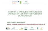 Presentación de PowerPoint EN ANDALUCIA.pdf · PAM y su uso como herramienta de diversificación económica, clave para el desarrollo socioeconómico sostenible de las zonas rurales