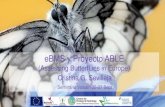eBMS y Proyecto ABLE - miteco.gob.es€¦ · Proyecto ABLE: Assessing ButterfLies in Europe Crear una red representatiiva de monitoreo de mariposas en Europa El Proyecto ABLE es una