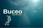 Buceo - Nuevo Playa del Sol€¦ · sistemas de arrecifes más profundos, como por ejemplo Punta Venado a unos pocos minutos al sur de Playa de Carmen. La Riviera Maya es hogar de