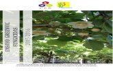 EENVIC FUNGICIDAS 6 01 - CERestudios.ceresearch.com/upload/pdf/Ensayo-Greenvic... · prueba del efecto de diferentes programas de fungicidas en el control de la pudriciÓn causada